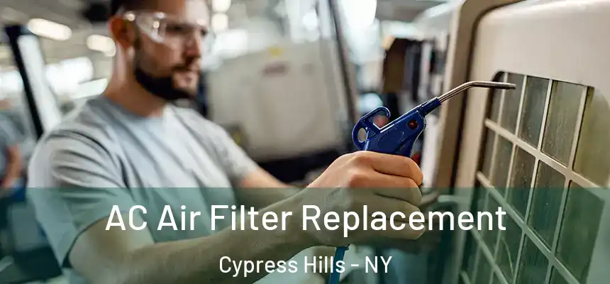 AC Air Filter Replacement Cypress Hills - NY