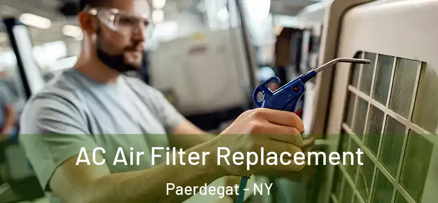 AC Air Filter Replacement Paerdegat - NY