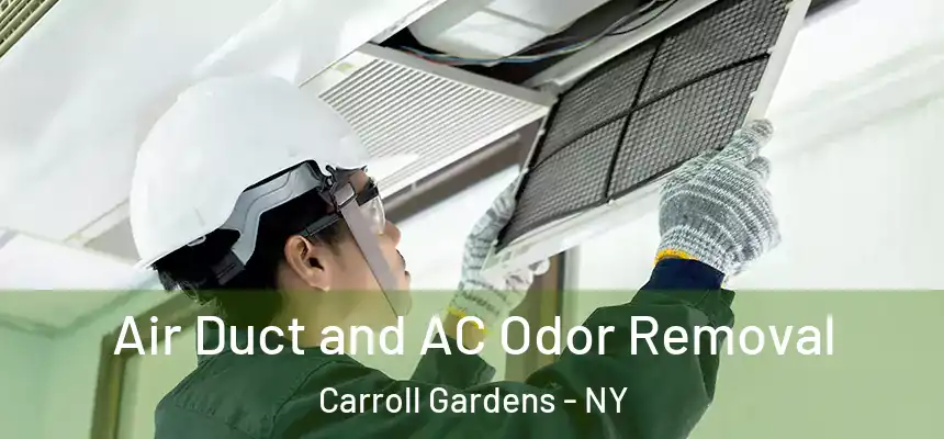 Air Duct and AC Odor Removal Carroll Gardens - NY
