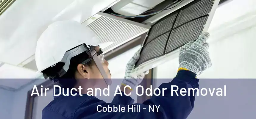Air Duct and AC Odor Removal Cobble Hill - NY