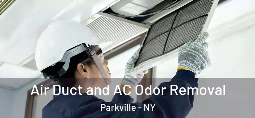 Air Duct and AC Odor Removal Parkville - NY