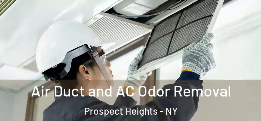 Air Duct and AC Odor Removal Prospect Heights - NY