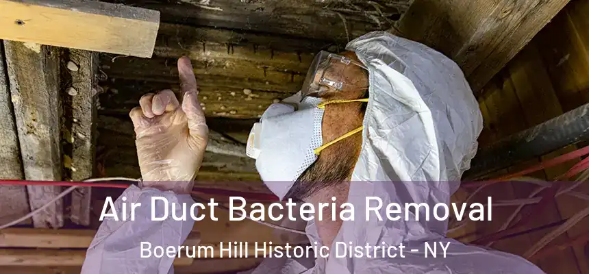 Air Duct Bacteria Removal Boerum Hill Historic District - NY