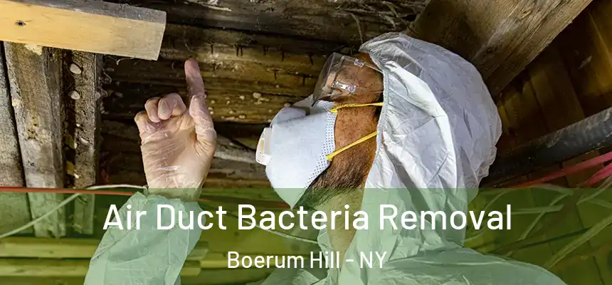 Air Duct Bacteria Removal Boerum Hill - NY