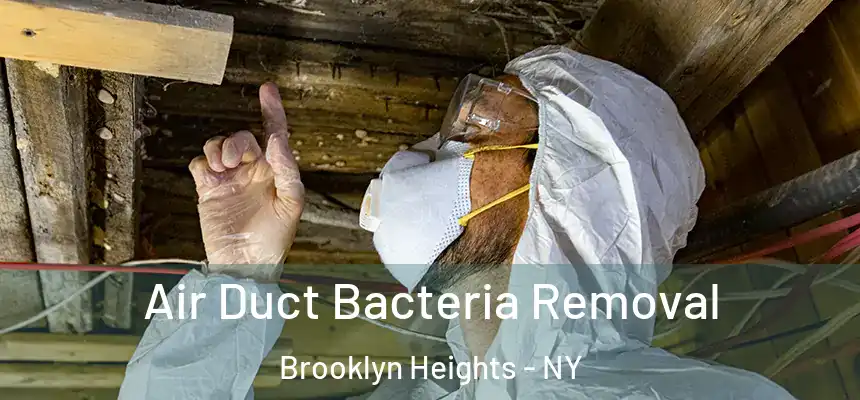 Air Duct Bacteria Removal Brooklyn Heights - NY