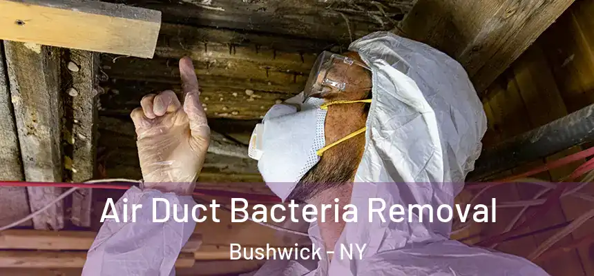 Air Duct Bacteria Removal Bushwick - NY