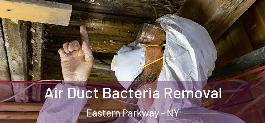 Air Duct Bacteria Removal Eastern Parkway - NY