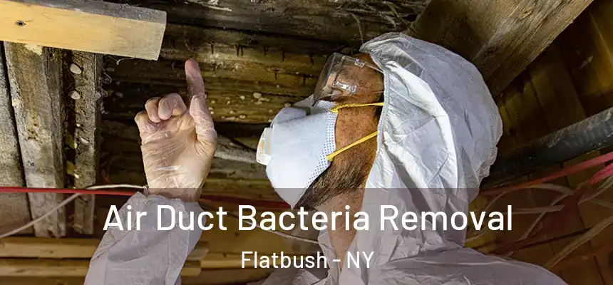 Air Duct Bacteria Removal Flatbush - NY