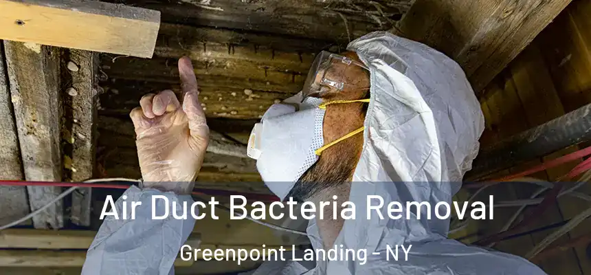 Air Duct Bacteria Removal Greenpoint Landing - NY