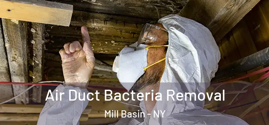Air Duct Bacteria Removal Mill Basin - NY