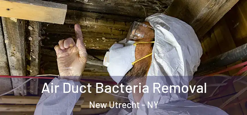 Air Duct Bacteria Removal New Utrecht - NY