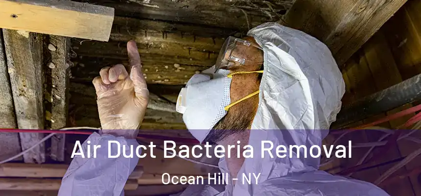 Air Duct Bacteria Removal Ocean Hill - NY
