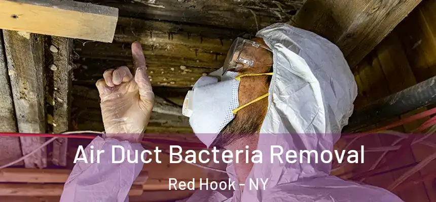 Air Duct Bacteria Removal Red Hook - NY