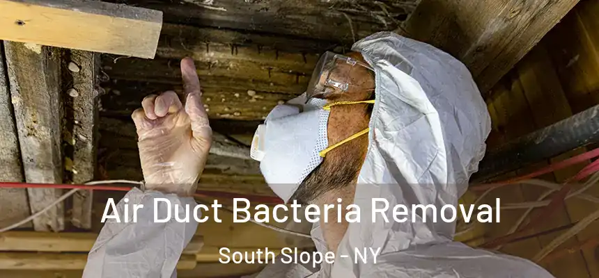 Air Duct Bacteria Removal South Slope - NY