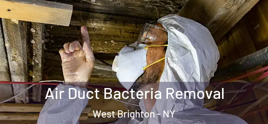 Air Duct Bacteria Removal West Brighton - NY