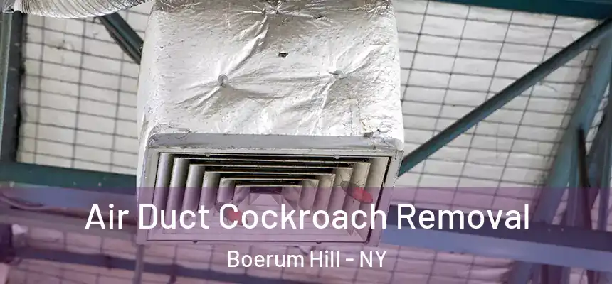 Air Duct Cockroach Removal Boerum Hill - NY