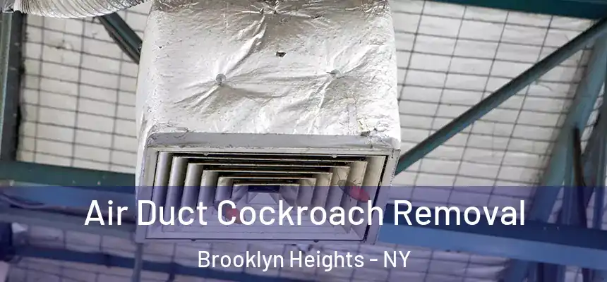 Air Duct Cockroach Removal Brooklyn Heights - NY