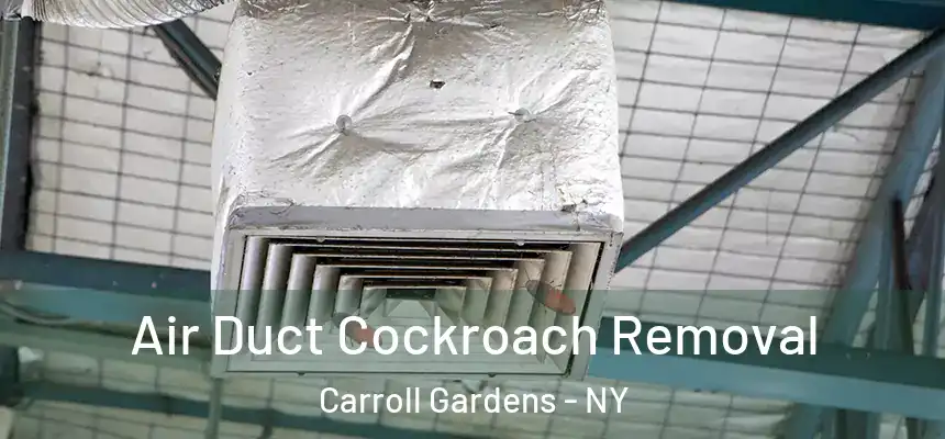Air Duct Cockroach Removal Carroll Gardens - NY