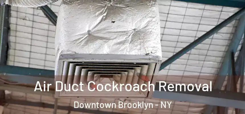Air Duct Cockroach Removal Downtown Brooklyn - NY