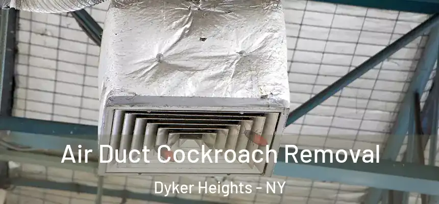 Air Duct Cockroach Removal Dyker Heights - NY