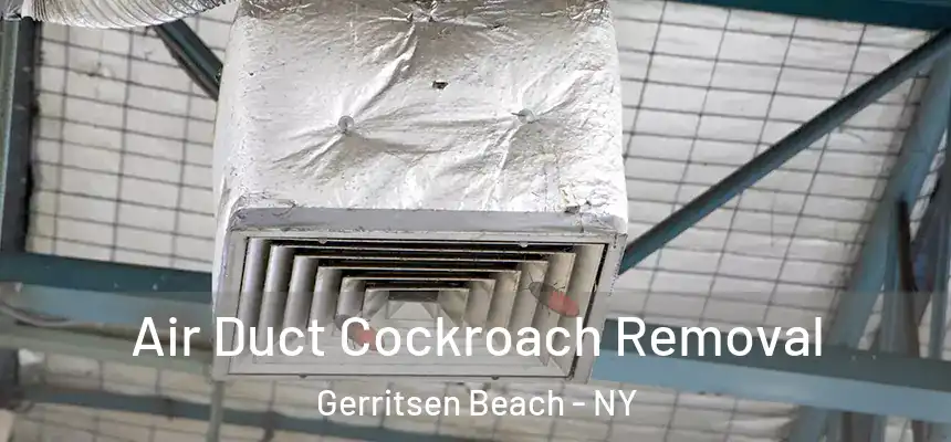 Air Duct Cockroach Removal Gerritsen Beach - NY