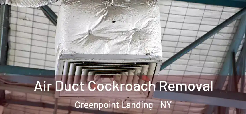 Air Duct Cockroach Removal Greenpoint Landing - NY