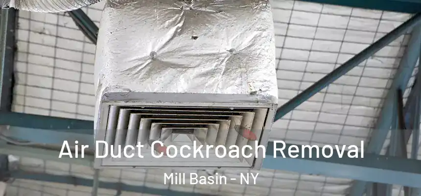 Air Duct Cockroach Removal Mill Basin - NY