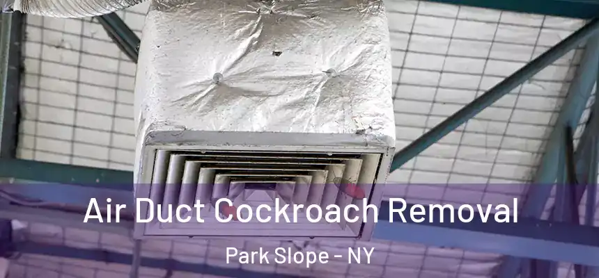 Air Duct Cockroach Removal Park Slope - NY
