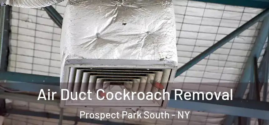 Air Duct Cockroach Removal Prospect Park South - NY