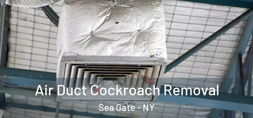 Air Duct Cockroach Removal Sea Gate - NY
