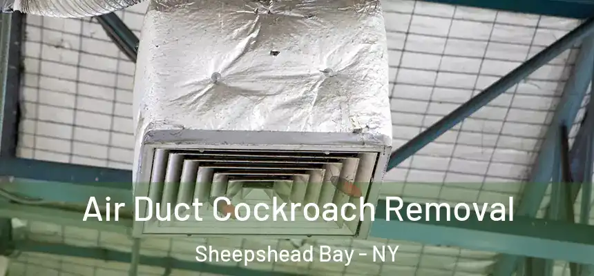 Air Duct Cockroach Removal Sheepshead Bay - NY