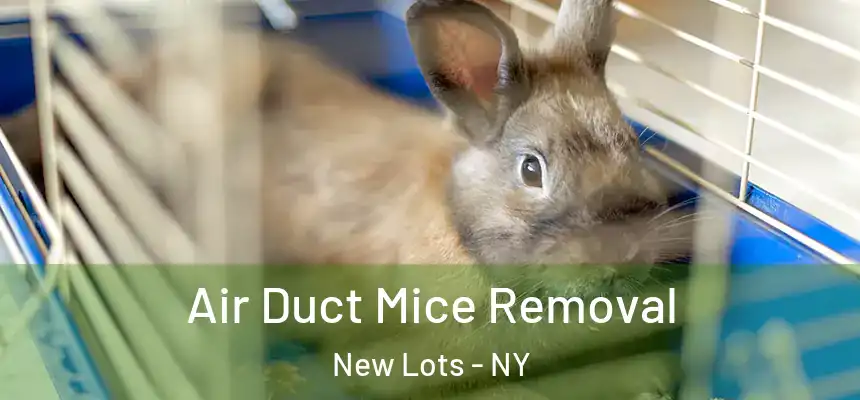 Air Duct Mice Removal New Lots - NY