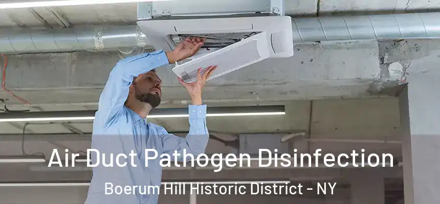 Air Duct Pathogen Disinfection Boerum Hill Historic District - NY