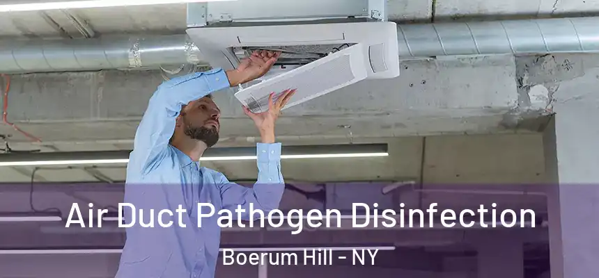 Air Duct Pathogen Disinfection Boerum Hill - NY