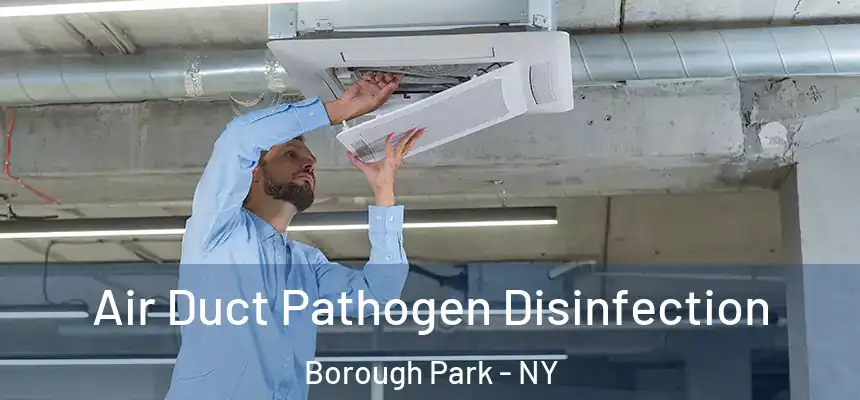 Air Duct Pathogen Disinfection Borough Park - NY