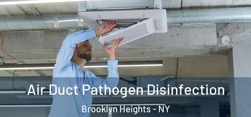 Air Duct Pathogen Disinfection Brooklyn Heights - NY