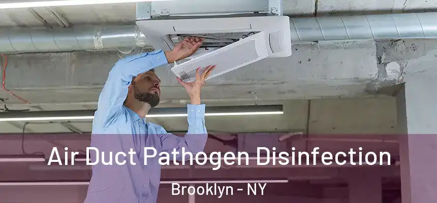 Air Duct Pathogen Disinfection Brooklyn - NY