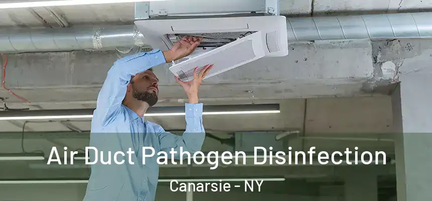  Air Duct Pathogen Disinfection Canarsie - NY