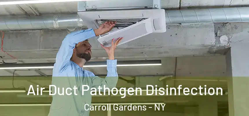  Air Duct Pathogen Disinfection Carroll Gardens - NY