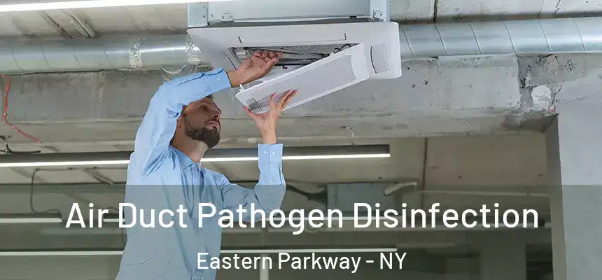 Air Duct Pathogen Disinfection Eastern Parkway - NY