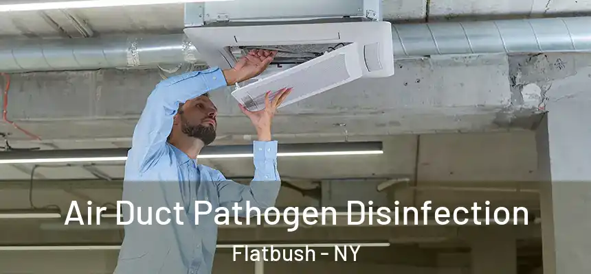  Air Duct Pathogen Disinfection Flatbush - NY
