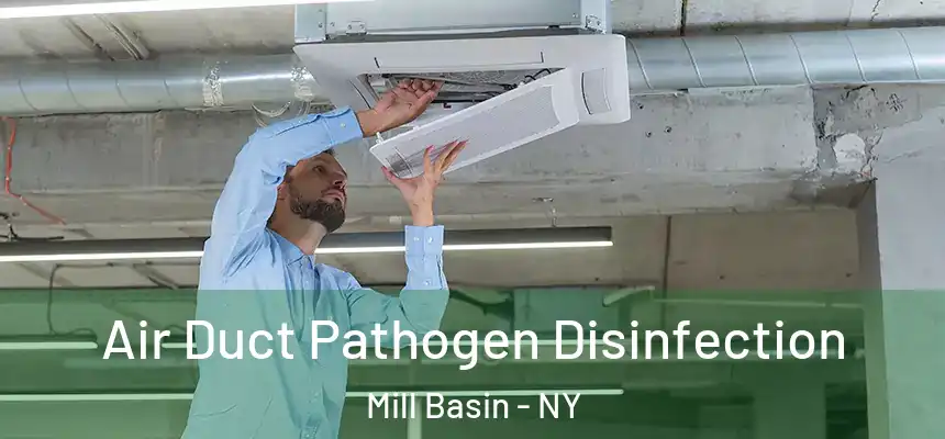 Air Duct Pathogen Disinfection Mill Basin - NY