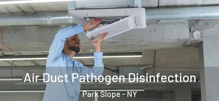  Air Duct Pathogen Disinfection Park Slope - NY
