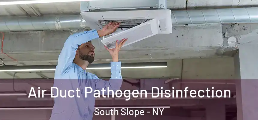  Air Duct Pathogen Disinfection South Slope - NY