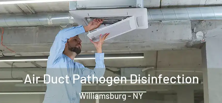 Air Duct Pathogen Disinfection Williamsburg - NY