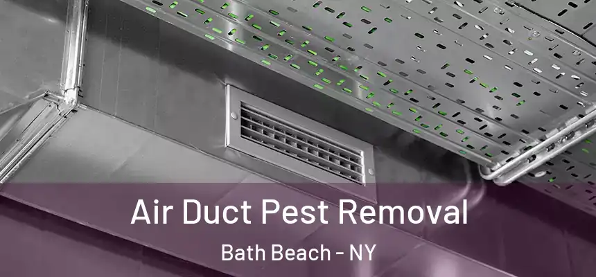 Air Duct Pest Removal Bath Beach - NY