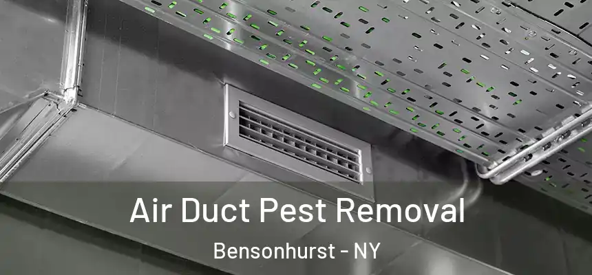 Air Duct Pest Removal Bensonhurst - NY