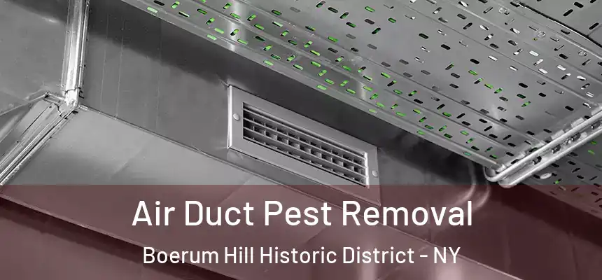 Air Duct Pest Removal Boerum Hill Historic District - NY