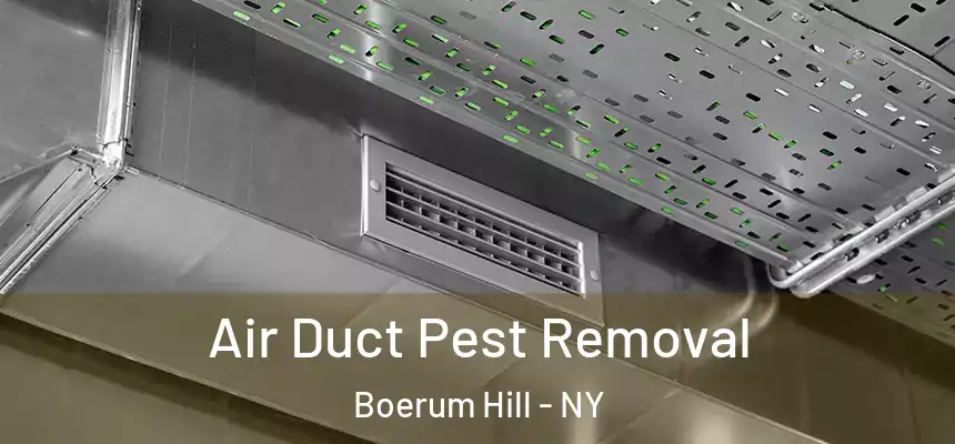 Air Duct Pest Removal Boerum Hill - NY
