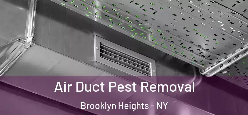Air Duct Pest Removal Brooklyn Heights - NY